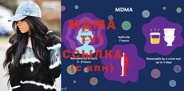 МДПВ Бородино