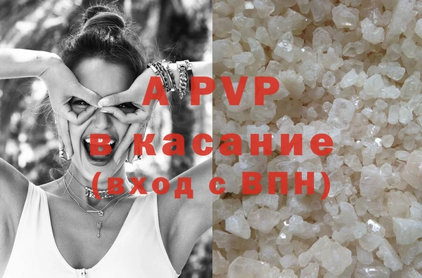 PSILOCYBIN Верея