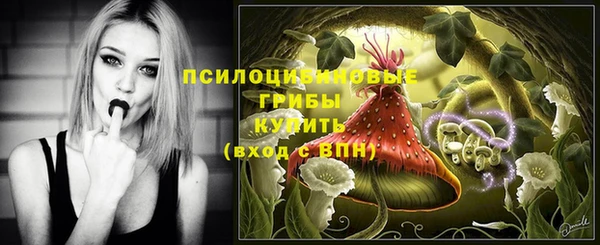 гидропоника Володарск